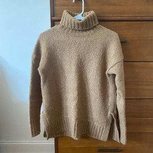 Everlane Womens Small Wool The Cloud Turtleneck Sweater